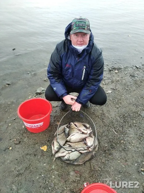 Bream — Novosibirskaya oblast, Oct 02, 2021