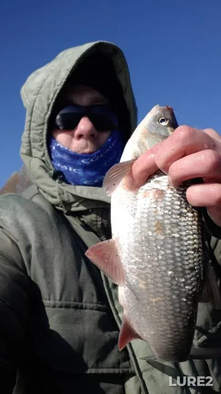 Bream, Ide — Novosibirskaya oblast, Oct 09, 2021