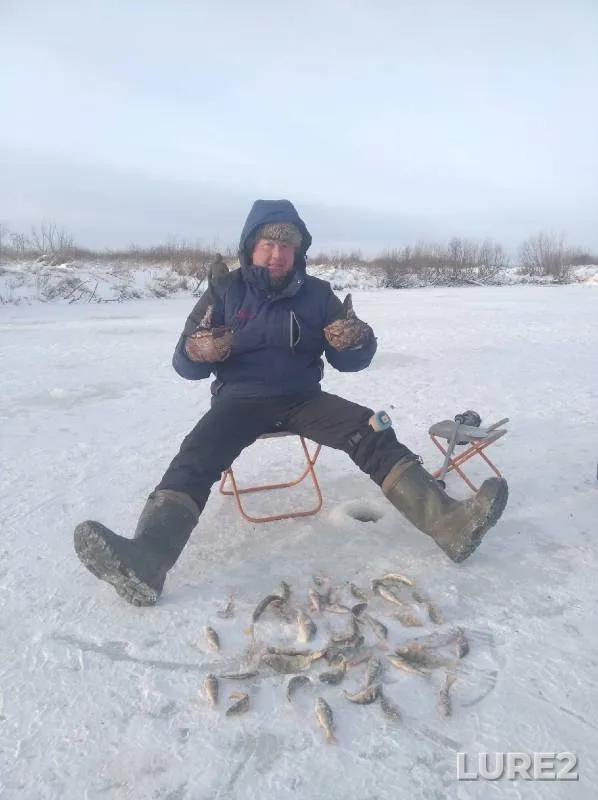 Perch — Kashlam, Nov 04, 2021