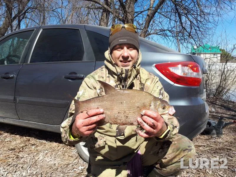 Bream, Crucian carp — protoka Malaya Zatonskaya, Apr 20, 2022