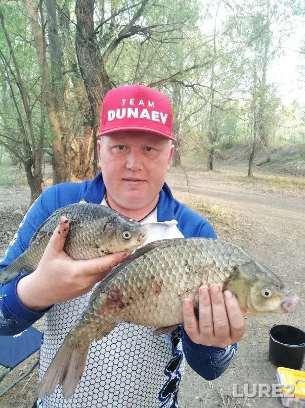 Crucian carp — protoka Malaya Zatonskaya, May 15, 2022