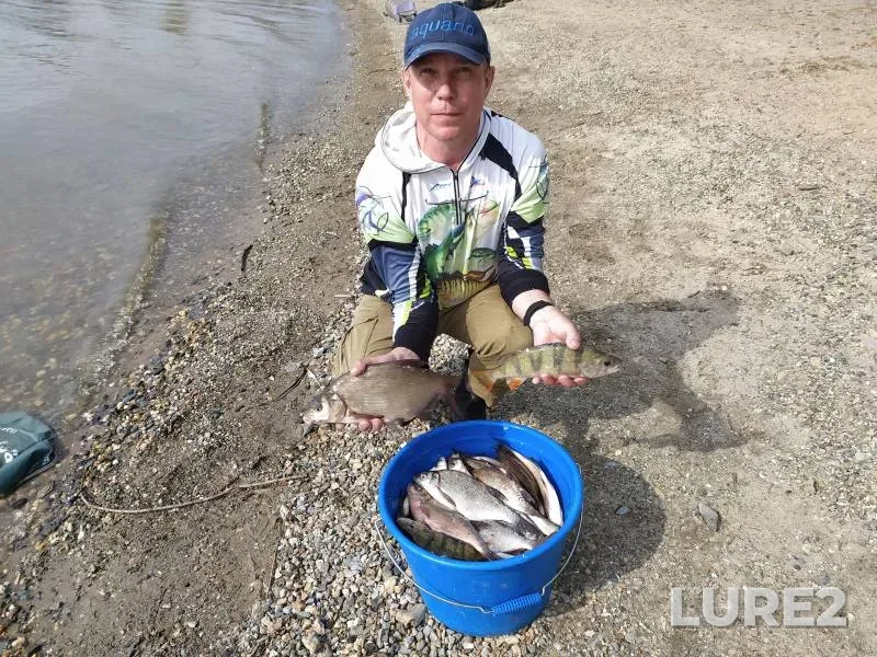 Bream, Perch — Ob, May 30, 2022