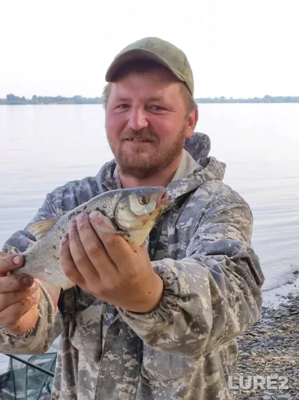 Bream — Novosibirskaya oblast, Jun 01, 2022
