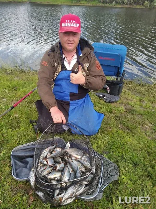 Bream, Crucian carp — Chaus, Jul 03, 2022