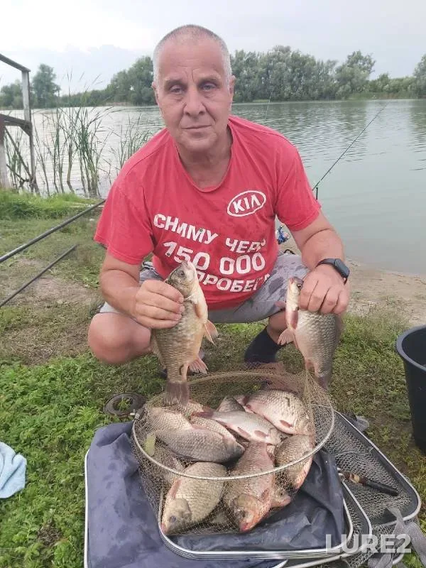 Crucian carp — Ustinovo, Jul 21, 2022