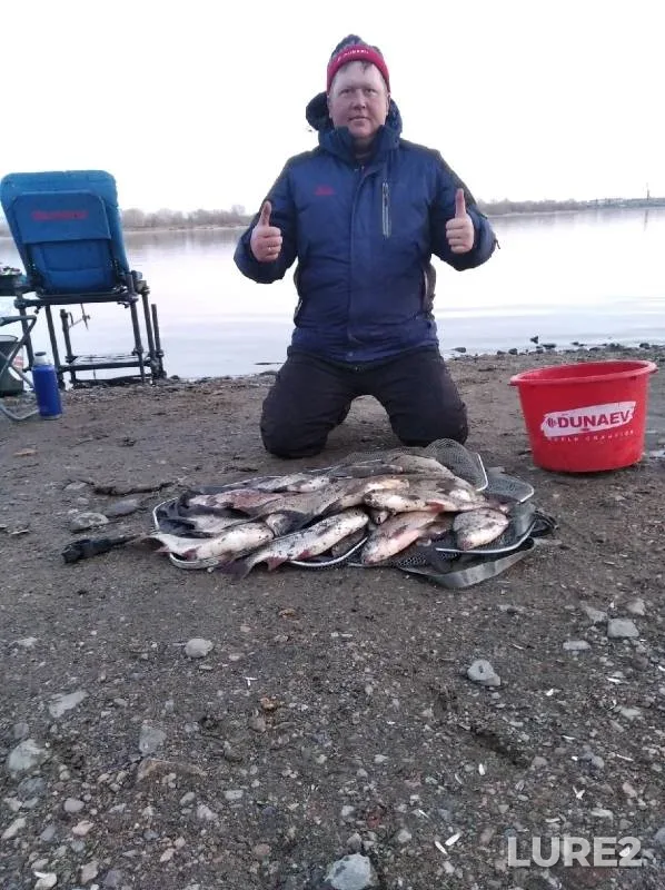 Bream — Novosibirskaya oblast, Nov 04, 2022