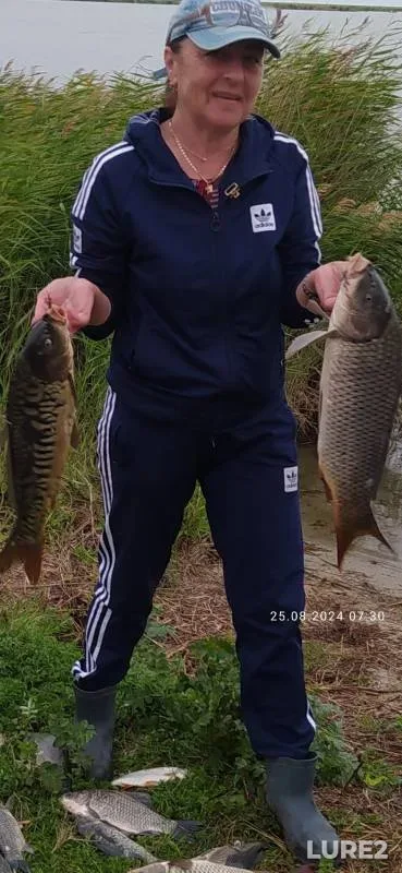 Carp, Crucian carp — Chany, Aug 25, 2024