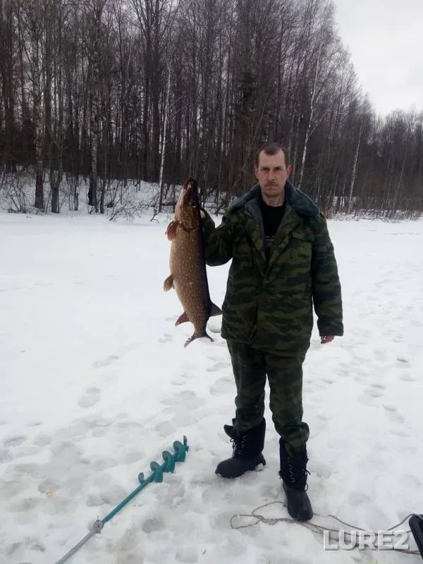 Pike — Kotelevo, Mar 08, 2019