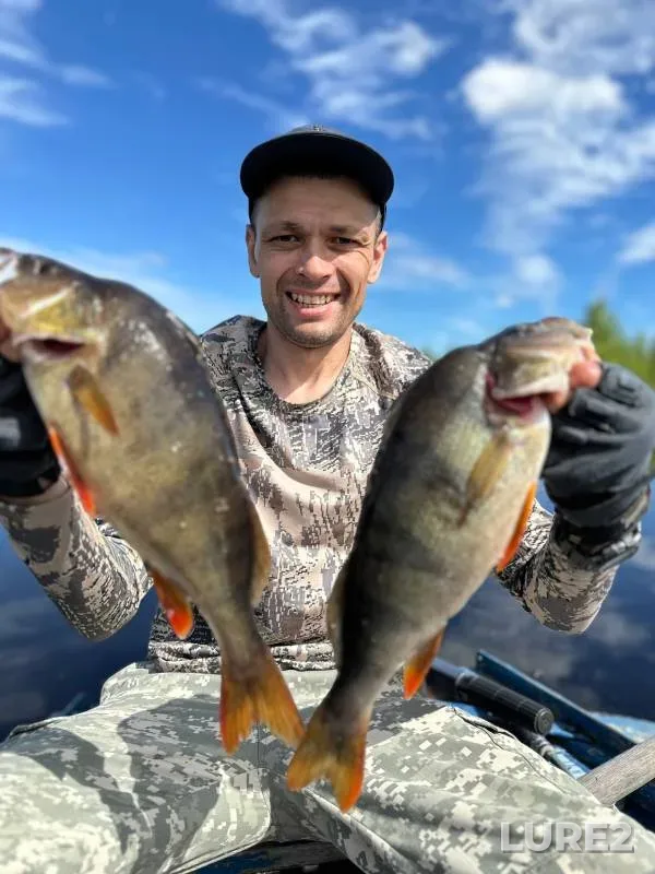 Perch — Khanty-Mansiyskiy avtonomnyy okrug — Yugra, Jul 23, 2024