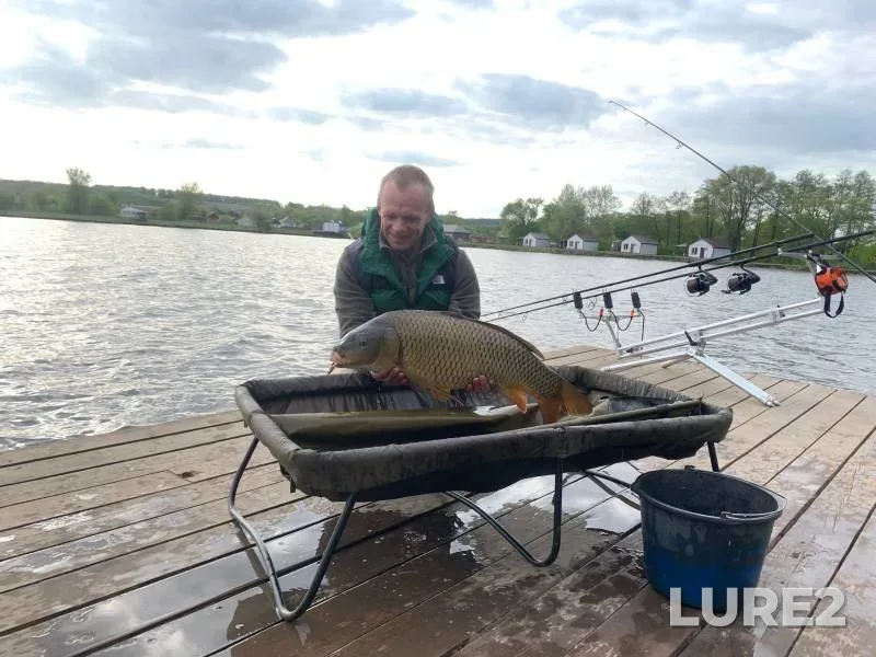 Carp — Bolshaya Kuritsa, May 12, 2023