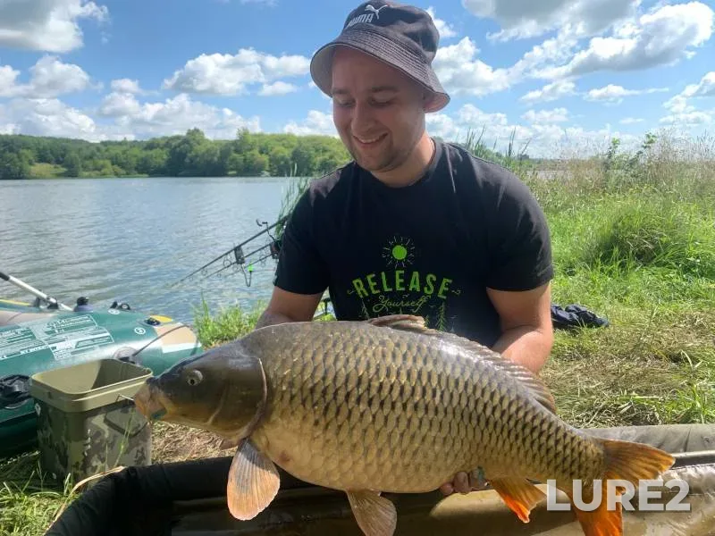 Carp — Orlovskaya oblast, Jul 30, 2023