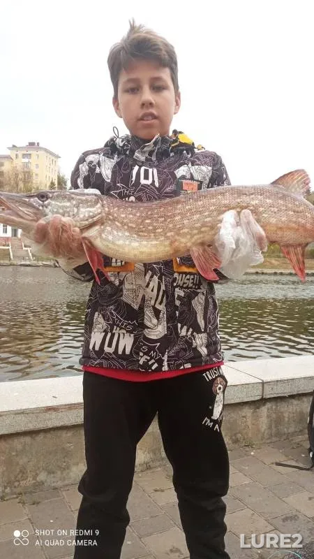 Pike, Zander — Oka, Oct 09, 2024