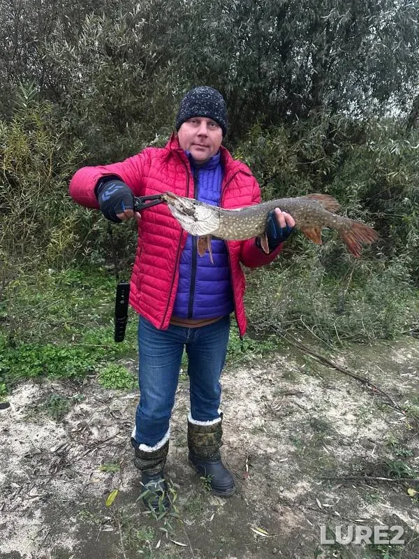 Pike — Orlik, Oct 18, 2024