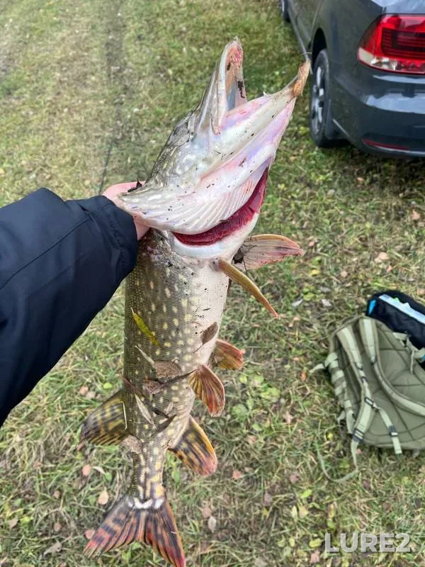 Pike — Orlik, Oct 26, 2024