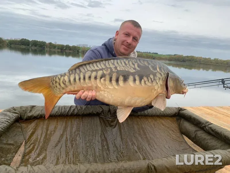 Carp — Golodyayevskiy, Jan 29, 2024