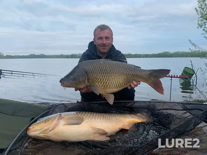 Carp — Golodyayevskiy, Feb 05, 2024