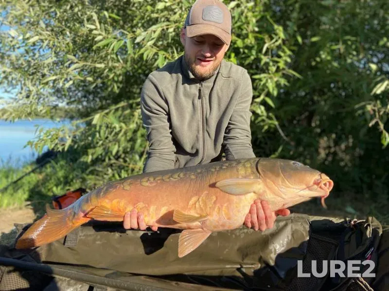 Carp — Golodyayevskiy, Feb 26, 2024