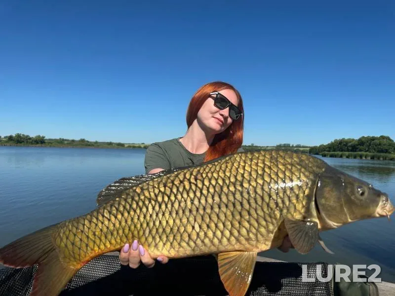 Carp — Golodyayevskiy, Jul 11, 2024