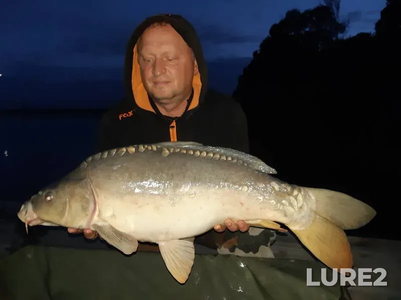Carp — Golodyayevskiy, Aug 21, 2024