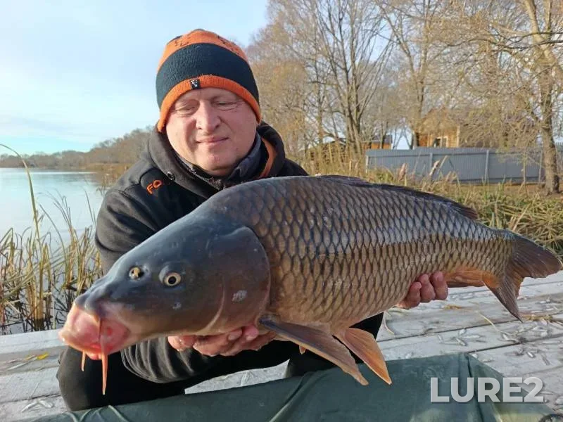Carp — Golodyayevskiy, Nov 06, 2024
