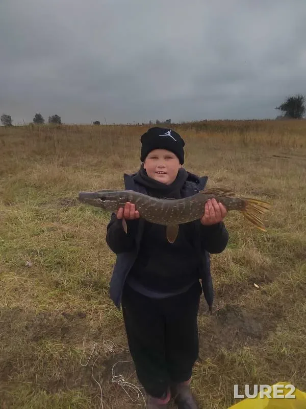 Pike — Penzenskaya oblast, Oct 06, 2024