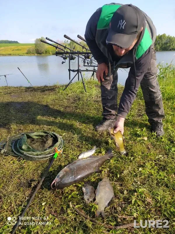 Crucian carp, Tench — Penzenskaya oblast, Jul 02, 2023