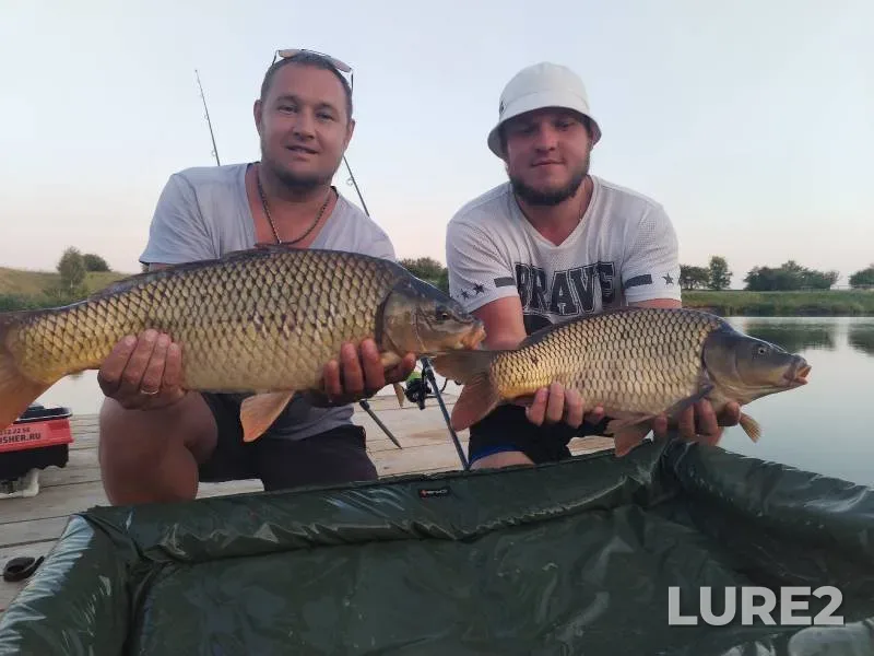 Carp — Penzenskaya oblast, Jul 10, 2023