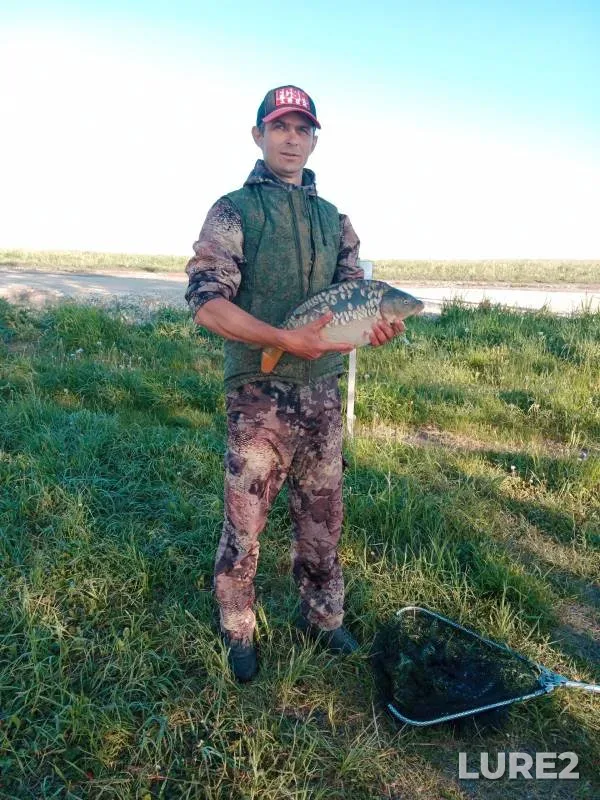 Carp — Penzenskaya oblast, May 26, 2024
