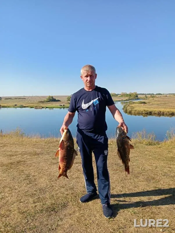 Carp — Penzenskaya oblast, Sep 15, 2024