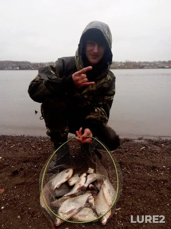 Crucian carp — Nytvenskiy, May 09, 2024