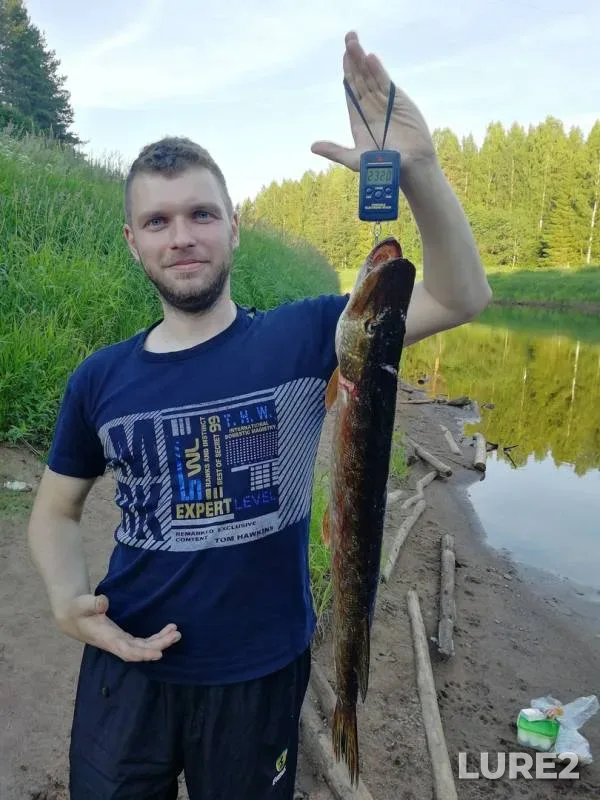 Pike — Pasha, Jun 29, 2018