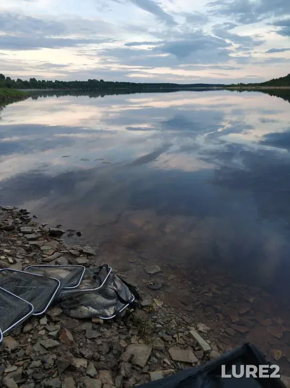 Bream — Kama, Aug 01, 2024