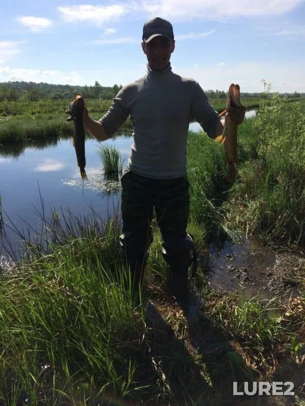 Pike — Volozhba, May 21, 2018