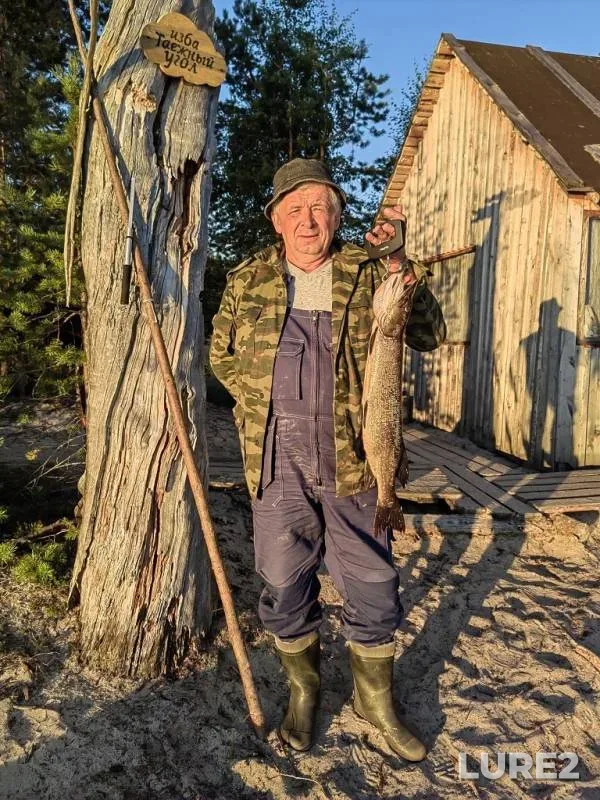 Perch, Pike — Respublika Kareliya, Loukhskiy rayon, Aug 18, 2024