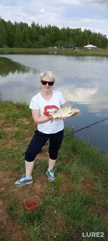 Carp — Pskovskaya oblast, Pskovskiy rayon, May 14, 2023