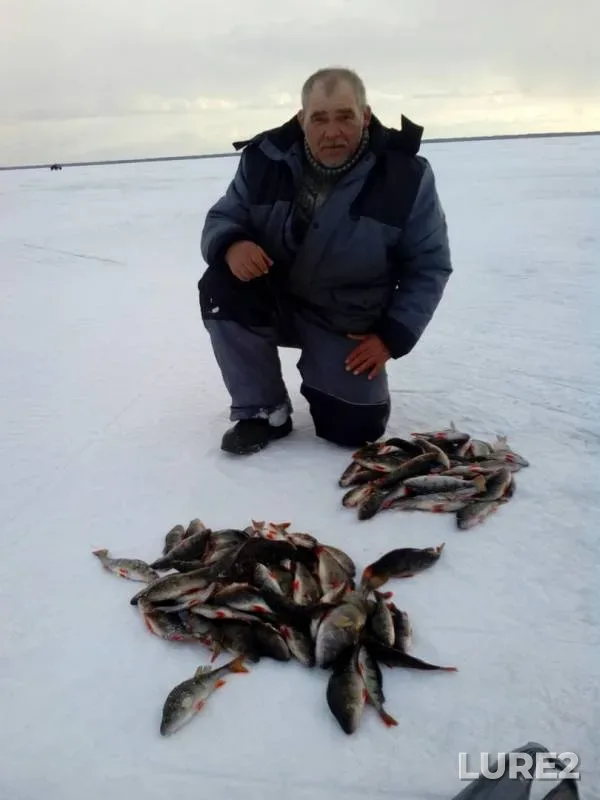 Perch — Zelenetskiy proliv, Mar 28, 2018