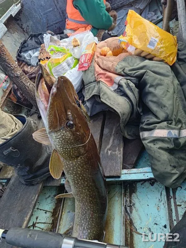 Pike — Sumtynglemyng, Oct 23, 2024