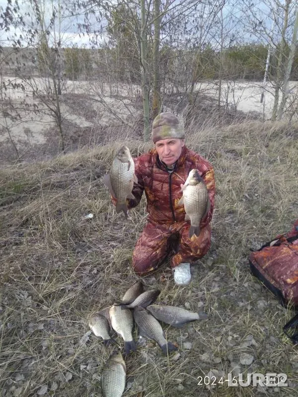 Crucian carp — GRES, Jun 02, 2024