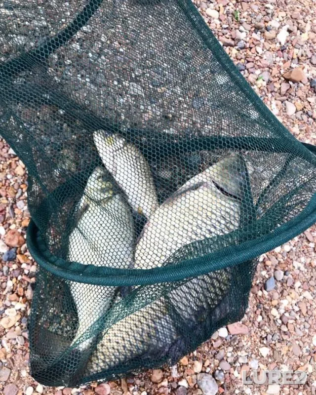 Bream, Carp — Kuganak, May 14, 2019