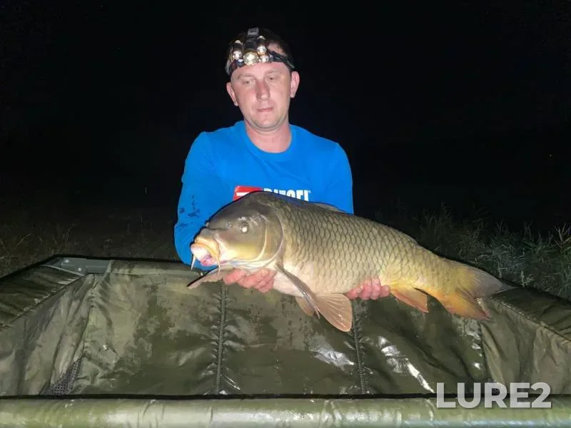 Carp — Zapyataya, Oct 08, 2021