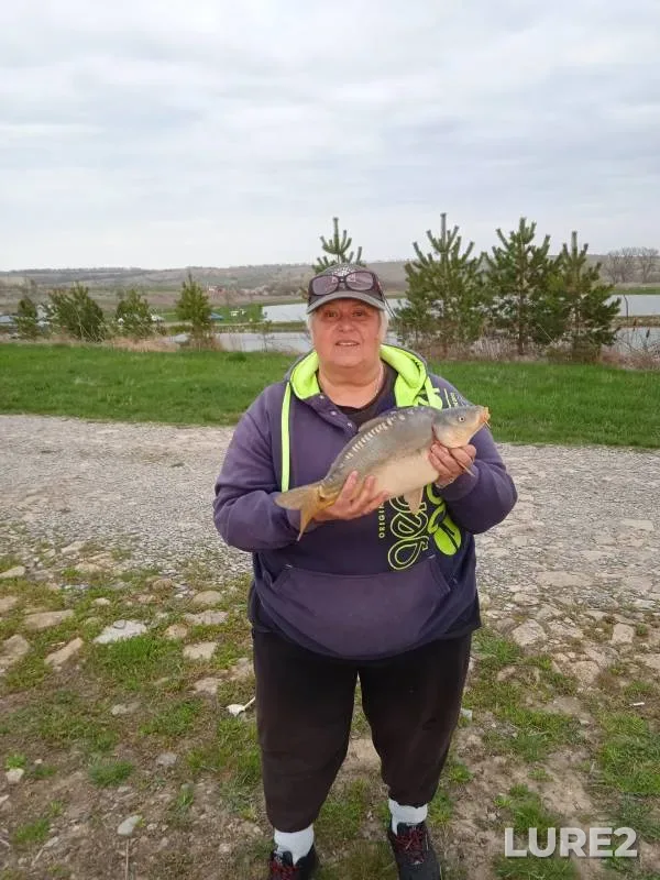 Carp — Chernikov, Apr 11, 2024
