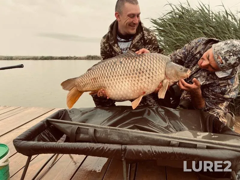 Carp — Razliv, May 26, 2024