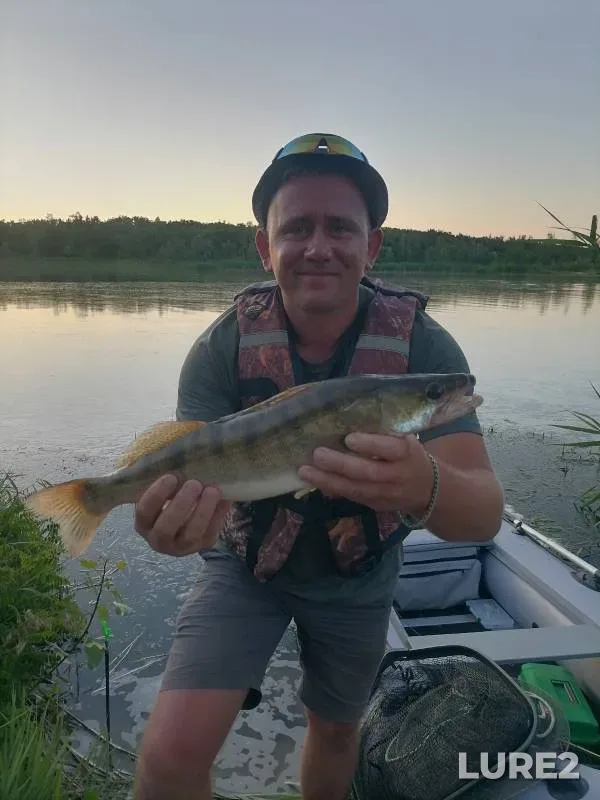 Perch, Pike — Sіverskiy Donets / Severskiy Donets, Jun 21, 2024