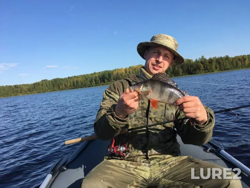 Perch, Pike — Lidskoye, Sep 25, 2017