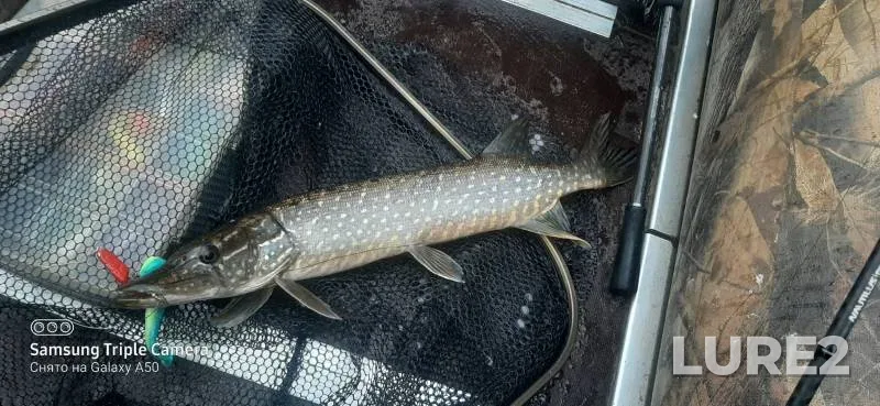 Pike — Glotikha, Jul 21, 2023