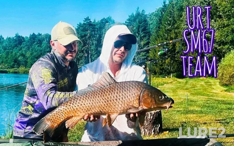 Carp — Smolenskaya oblast, Jul 11, 2024