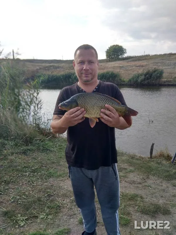 Carp — Saratovskaya oblast, Sep 21, 2023