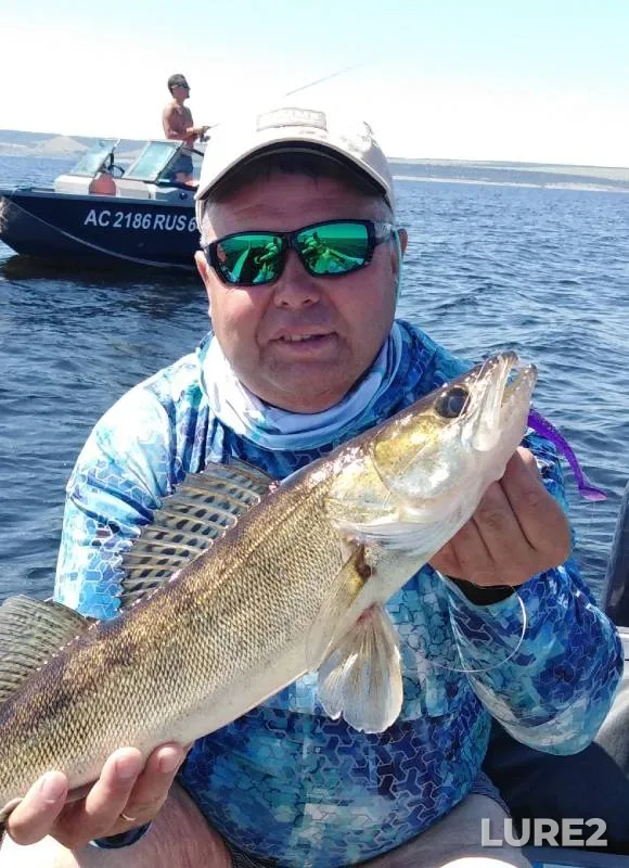 Pike, Zander — Saratovskaya oblast, Jul 17, 2022