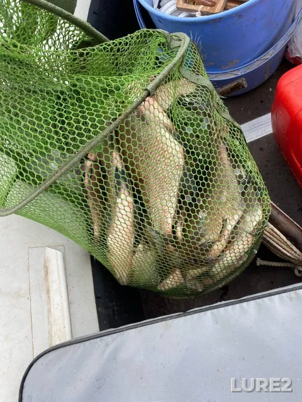 Bream — Saratovka, Aug 21, 2020