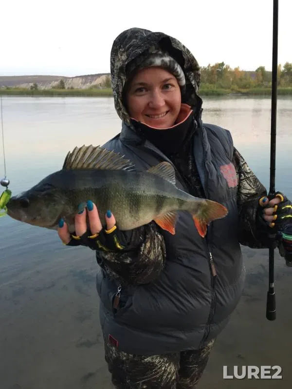 Perch, Zander — Saratovskaya oblast, Sep 30, 2020